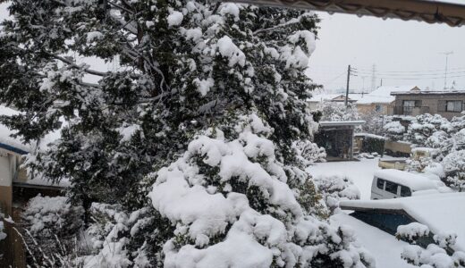 20260208　投票日前に大雪